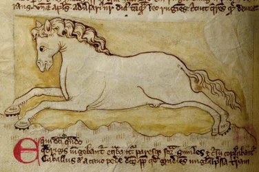Cheval, du Bestiaire