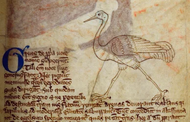 Grue, du Bestiaire