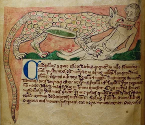 CCA-LitMs/D/10 fol. 3v Crocodile, du Bestiaire