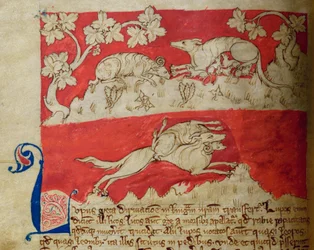 CCA-LitMs/D/10 fol. 4v Loup, du Bestiaire