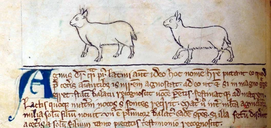 CCA-LitMs/D/10 fol. 8v Agneaux, du Bestiaire