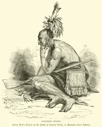 Indien canadien