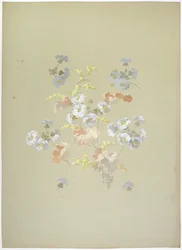 Design de tapis