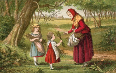 Collecte de bois de chauffage
