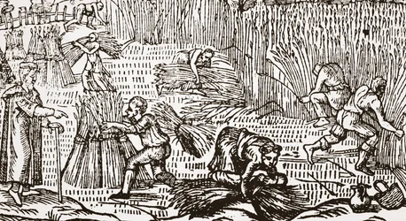 Gravure contemporaine montrant la récolte