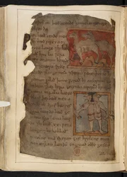 Beowulf, du 