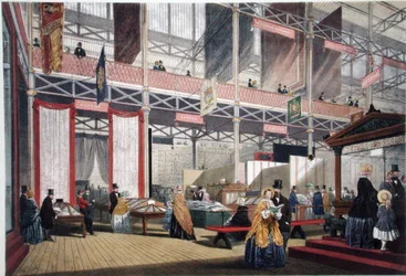 Coton, de Dickinsons Comprehensive Pictures of the Great Exhibition of 1851, publié en 1854