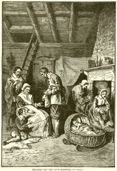 Distribution des cinq grains de maïs