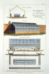 Conception pour un aquarium, exécuté pour le Marquis de Blandford à Whiteknights, 1806