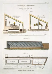 Conception pour une pinède et une orangerie à Teddington, 1806