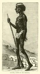 Djangal, natif du Sirgouja