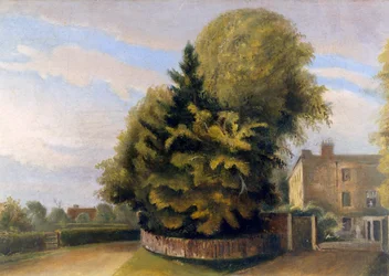 Maison de Down depuis le nord