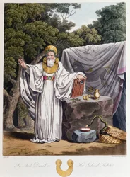 Druide - dans « Celtes et Goths, coutumes des habitants des îles britanniques du début du 6e siècle et des nations gothiques de la côte ouest de la Baltique », par S.R. Meyrick et Ch. Smith