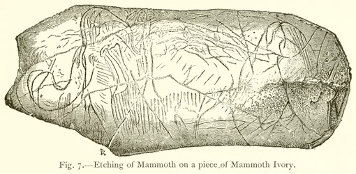 Gravure de mammouth sur un morceau d