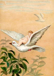 Fée chevauchant une colombe blanche