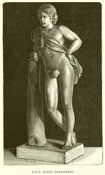 Faune d
