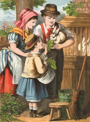 Nourrir le lapin