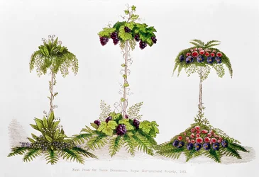 Premier prix pour la décoration de table, Royal Horticultural Society, 1851