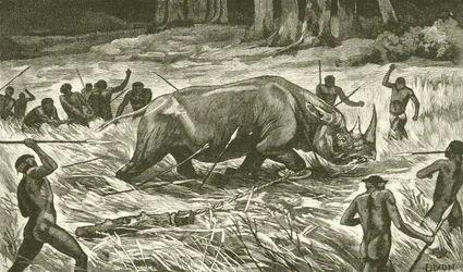 Suivre le rhinocéros encerclé (gravure)