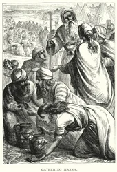 La Récolte de la Manne