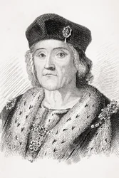 Henri VII d