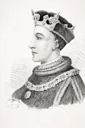 Henri V d