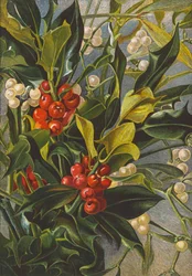 Houx et gui (lithographie couleur)