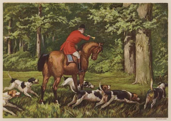 Chasse avec des chiens