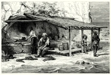 Cabanes de pêcheurs de thonidés : Baie de Praelucca (gravure)