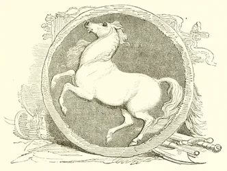 Invicta, l