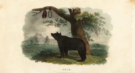 Méthode de chasse à l