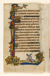 Un lapin chevauchant un chien, chasse, décoration marginale du Psautier de Macclesfield, Usage de Sarum, East Anglia, vers 1330