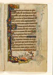 Le médecin-singe et son patient-ours, décoration marginale du Psautier de Macclesfield, Usage de Sarum, East Anglia, vers 1330