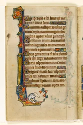 Un grotesque, décoration marginale du Psautier de Macclesfield, Usage de Sarum, East Anglia, vers 1330