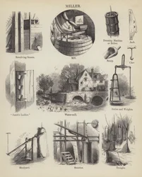Miller (gravure)
