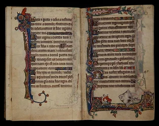 Ms 1-2005, ff.67v-68r : Une raie géante effraie un homme, décoration de bordure du Psautier de Macclesfield, Usage de Sarum, East Anglia, vers 1330