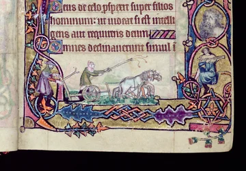 Ms 1-2005, ff.76v-77r : David et le fou, initiale historiée du Psautier de Macclesfield, Usage de Sarum, East Anglia, vers 1330 (détail)
