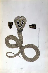 Nagoo Snake de 