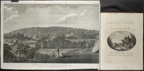 Vue nord-est de Selbourne