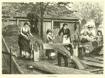 Épluchage d