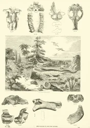 Page du Musée Pictural de la Nature Animée