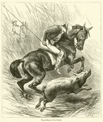 Chasse au sanglier dans la jungle