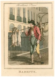 Portland Place. Lapins