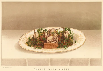 Cailles avec Cresson