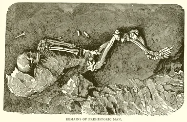 Restes de l
