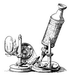 Microscope de Robert Hooke
