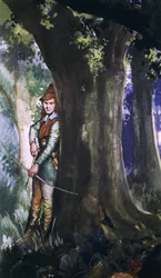 Robin des Bois