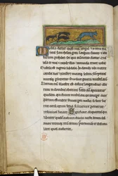 Des souris chassant un chat, de Bestiaire (ff. 3-141), Lapidaire (ff. 141v-149), 2e quart du 13e siècle (vélin)