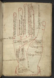 Royal MS 12 C XII f.107r Lecture des mains, dans un miscellanée médiéval