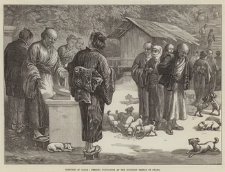 Croquis au Japon, nourrir des chiots au temple bouddhiste d